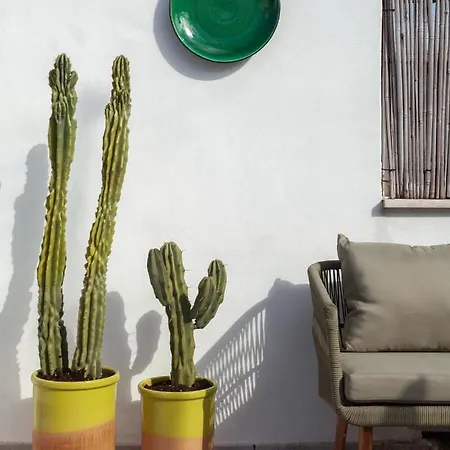 Casa Antica Pietra Tatil Evi *