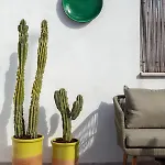 Casa Antica Pietra Nyaraló *