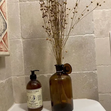 度假居 Casa Antica Pietra 奥斯图尼