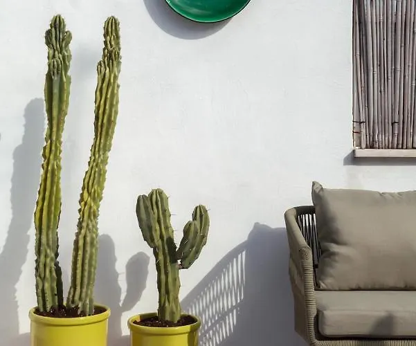 Casa Antica Pietra Vakantiehuis *